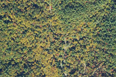 Helen, GA Site 21