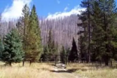 Peavy Cabin