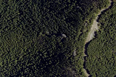 Twin Rocks Shelter
