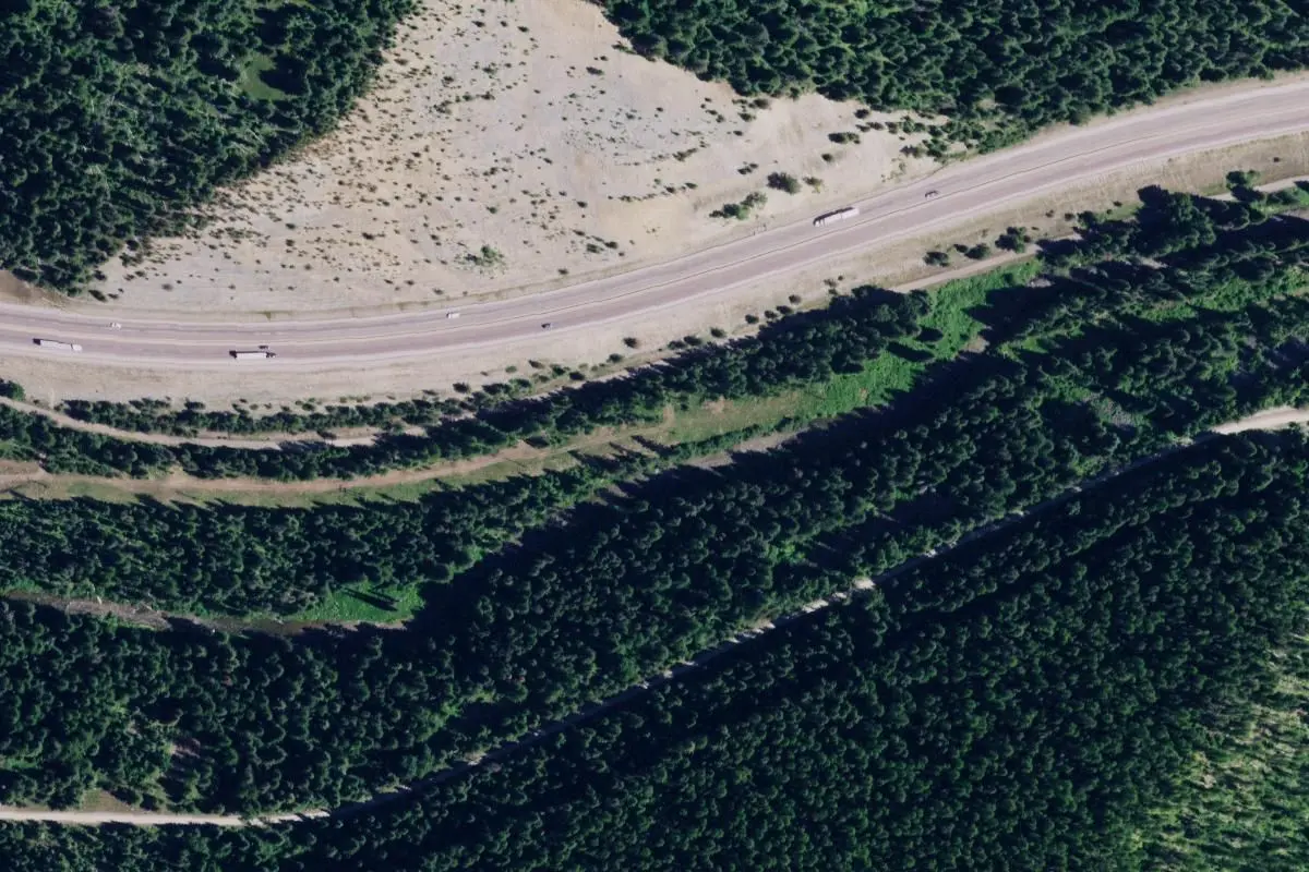 Aerial view