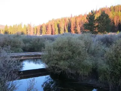 May Creek Cabin