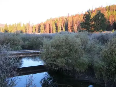 May Creek cabin area