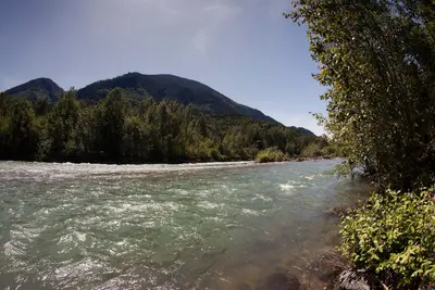 Chilliwack River Provincial Park 04
