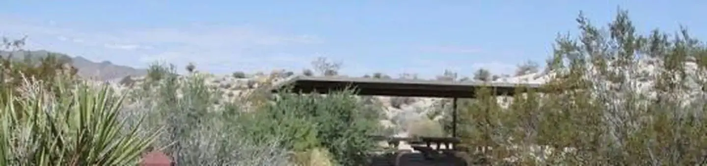 Cottonwood Group Campground