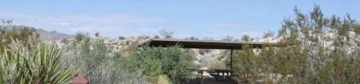 Cottonwood Group