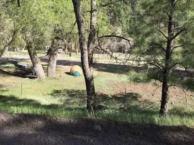 Juniper Campground (38720085882)