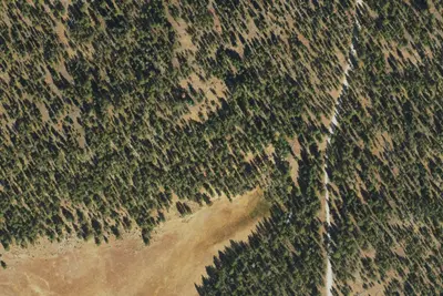 Alder Springs