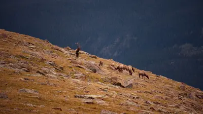Standing On The Curve Of The World (237322427)