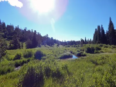 Beaver Ponds (183013055)