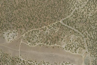 Camp site