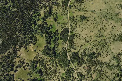Black Butte Camp