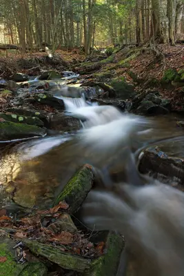 West Branch Ketchum Run (14) (15946770819)