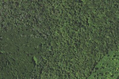 Camp site