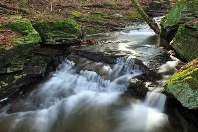 West Branch Ketchum Run (16) (15947102507)