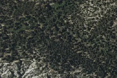 Halfway Trail Camp