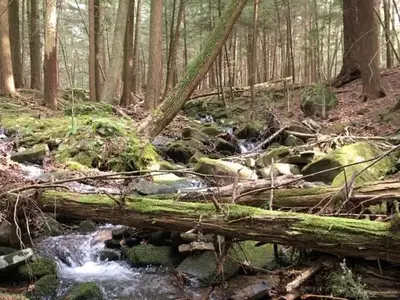 This rustic campground is situated on the east bank of the Allegheny Reservoir.