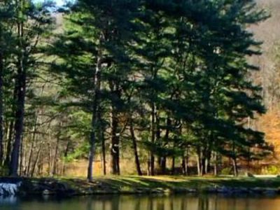 Morrison Boat Access Campground
