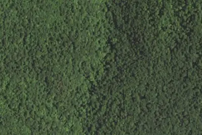Camp site