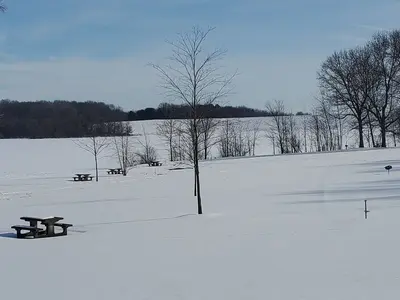 North Branch of Kokosing Dam 4