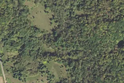 Pine Ridge