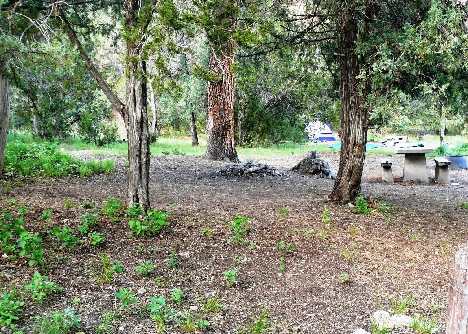 Upper Scorpion Campground
