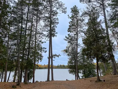 Eighteen Lake in Northern Minnesota (54127813394)