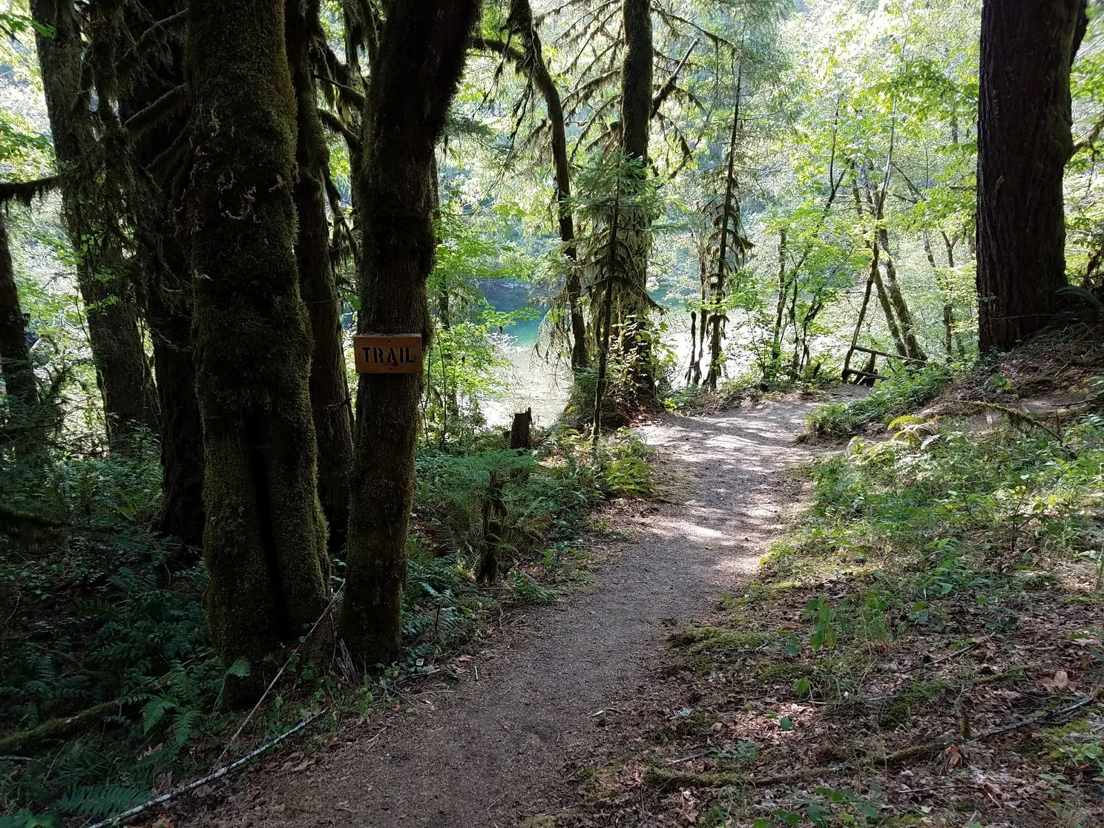 Trail to Quartzville Creek at Yellowbottom Recreation Site