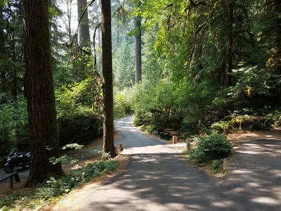 Loop road at Yellowbottom Recreation Site