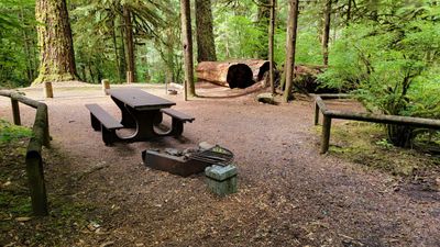 Yellowbottom Campground
