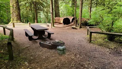 Picnic area in Yellowbottom Recreation Site