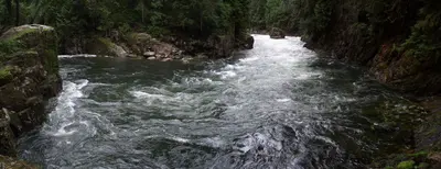 Capilano River - panoramio