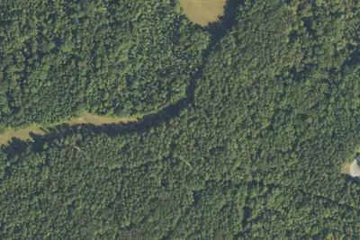 Camp site