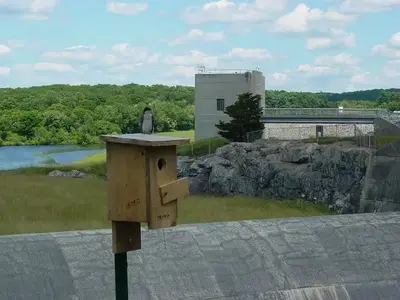 gatehouse bird