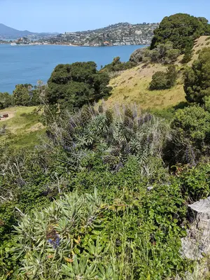 AngelIsland.MP