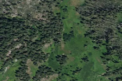 Camp site