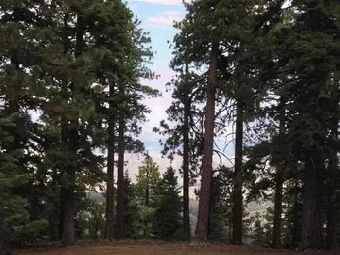 Jackson Flats