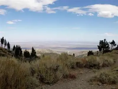 Jackson Flats