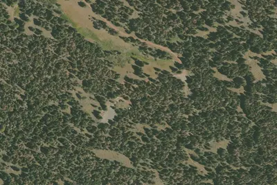 Soup Springs