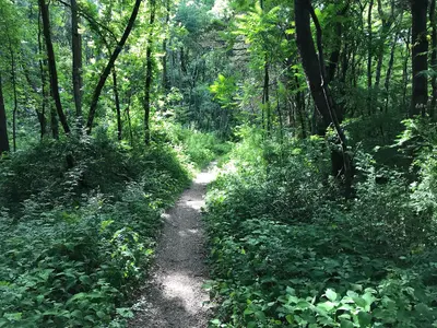 Mercer County Park Mountain Bike Trail