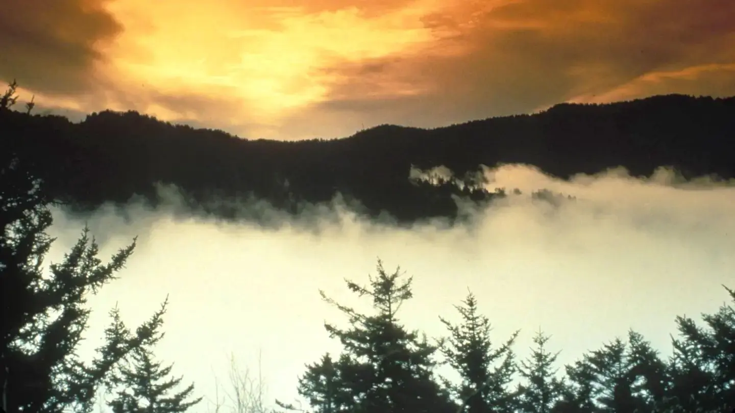 A dramatic colored evening sky above peaks in the Smokies