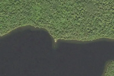 Pine Lake #7