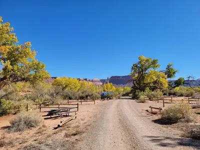 A picnic table and the campground road lined with Cottonwood trees.