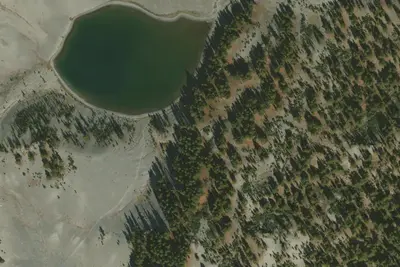 U.S. Forest Service Site #7