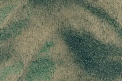 Camp site