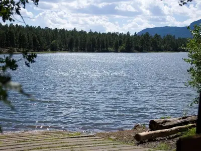 Summer time over the lake
