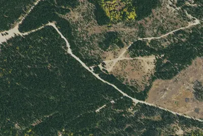 Camp site
