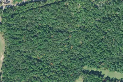 W5 Campsite