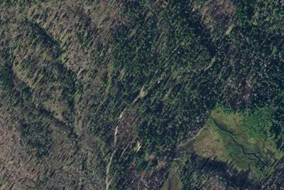 Morrell Creek 07