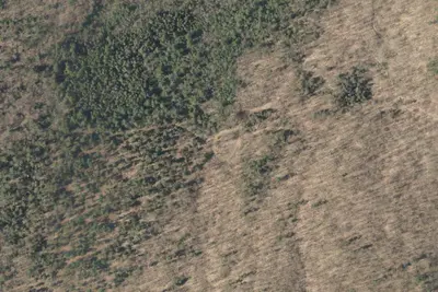 Camp site