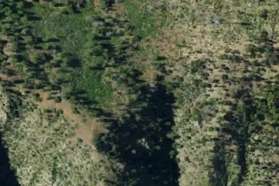 Pat Springs Camp
